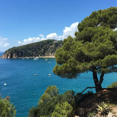 Lejlighed Sol Y Mar Cala Llevado Tossa de Mar
